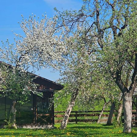 Rasos Sodyba Prienai Dış mekan fotoğraf